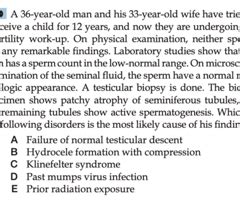 Pathology Of The Male Reproductive System Flashcards Quizlet