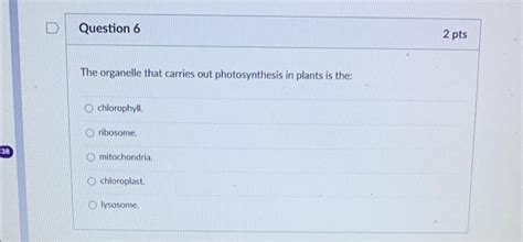 Solved The Organelle That Carries Out Photosynthesis In Chegg