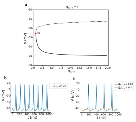 Bifurcation analysis for inward rectifier K current conductance í