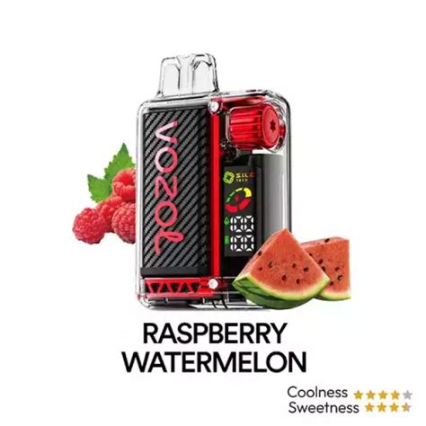 VOZOL VISTA 20k PUFFS Raspberry Watermelon En Tunisie