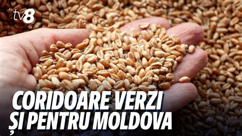 Coridoare verzi și pentru Moldova Fermierii moldoveni ar putea exporta