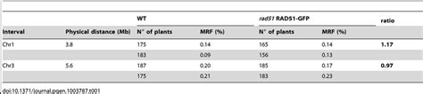 Meiotic Recombination Frequency Mrf In Wt And Rad51 Rad51 Gfp Mutant