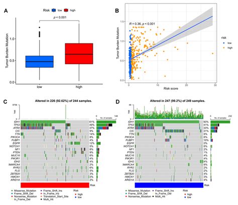 Mutation Analysis Based On Risk Score Model A Differences In Tmb In Download Scientific