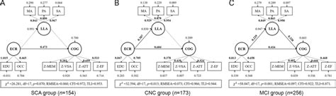 Intergroup trend of differences in structural equation models for ...