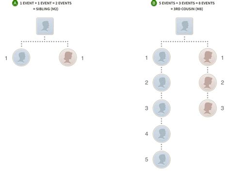 How Do We Estimate AncestryDNA® Match Relationships?