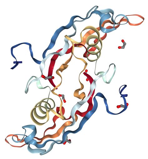 Gdf Protein Overview Sino Biological