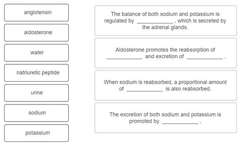 Solved Complete Each Statement By Using The Appropriate Word Chegg