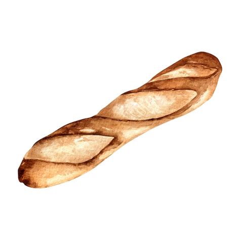 Baguette Fresca Ilustración De Acuarela Entera Aislada Sobre Fondo