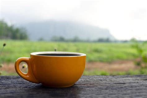 Cup Of Coffee On Table In Scenic Outdoor Setting 1228750 Stock Photo At