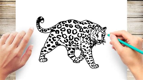 Easy Jaguar Head Drawing