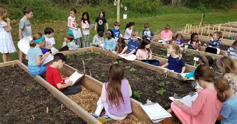 Davis Elementary School Garden Getting Started In The Garden