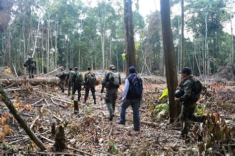 Destruyen Balsas Y Campamentos De Mineros Ilegales En Tambopata