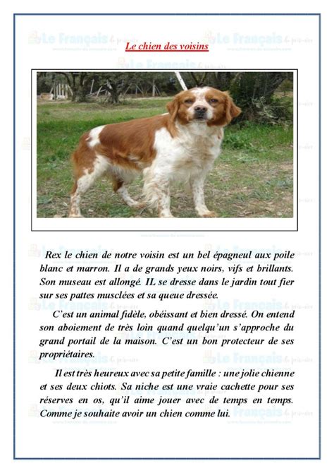 Le chien Le français du primaire