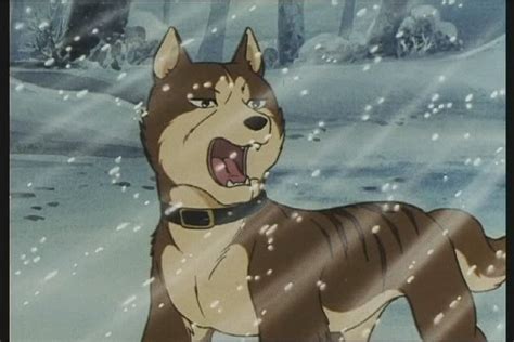 Image Riki020 Ginga Wiki Fandom Powered By Wikia