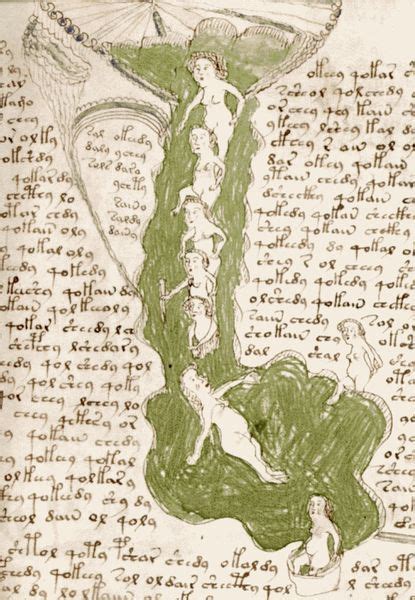 Манускрипт Войнича скачать | Рукопись войнича, Оккультизм, Xv век