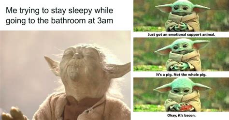 Memes, We Have: 21 Funny Memes About Yoda We Present - Geek Universe ...