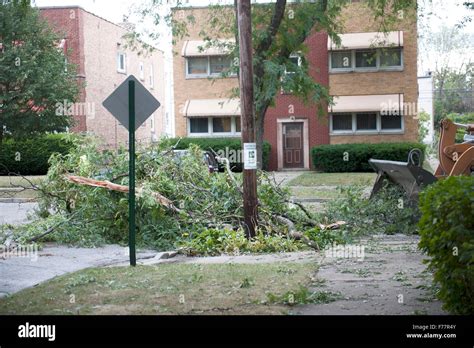 Branch Removal Outdoors Stock Photo Alamy