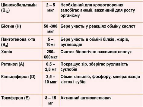 Роль ферментів і вітамінів у забезпеченні процесів метаболізму ...