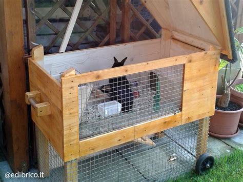 Clapier Lapin Bois Fait Maison Ventana Blog