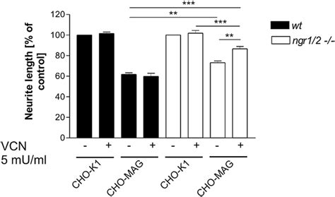 Mag Mediated Inhibition Of Neurite Outgrowth Of Ngr Sensory