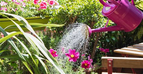 5 Conseils Pour Arroser Son Jardin Sans Gaspiller D Eau Plus Magazine