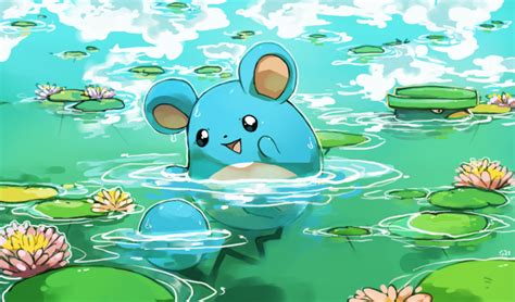 27 Fun And Interesting Facts About Marill From Pokemon Tons Of Facts