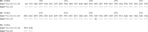 Alignment Of The Sequence Of Exon 4 Of DQA1 01 19 With The Sequence Of