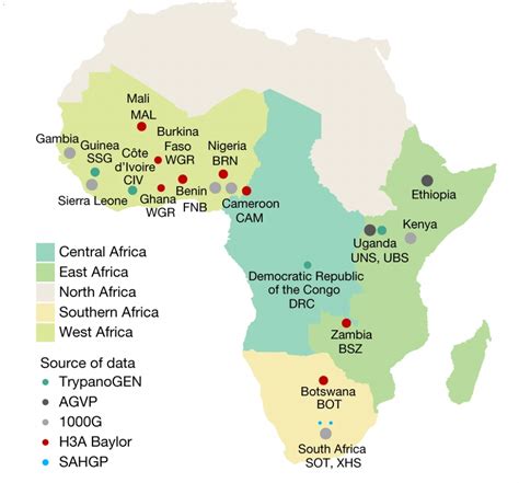 African Genomes Reveal Biological And Migration History