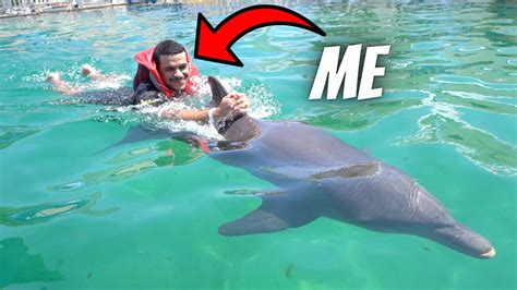 Swimming With Dolphins At Miami Seaquarium Youtube