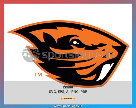 Oregon State Beavers 2013 Ncaa Division I N R College Sports