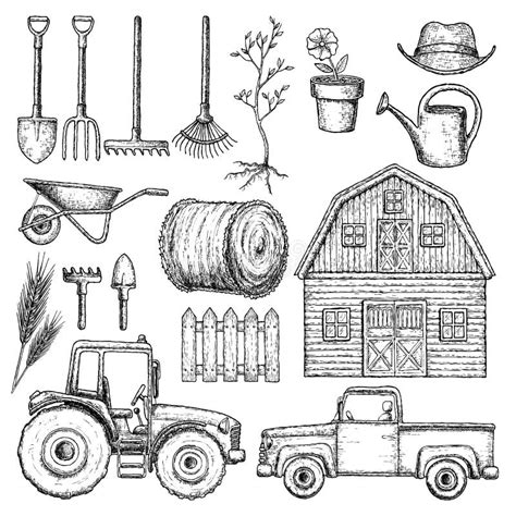 Agriculture Des Instruments Agricoles Illustration De Vecteur