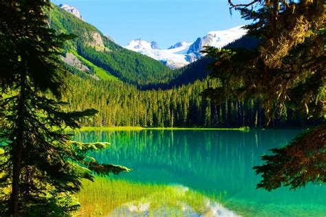 Fond d écran des arbres paysage forêt Montagnes Lac eau la