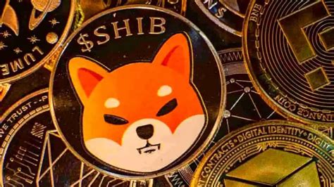 Will Shiba Inu Coin Reach Cent Vakantie Erinna Roanna