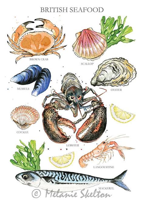 British Seafood Art Print Poster A4 Print Of British Seafood