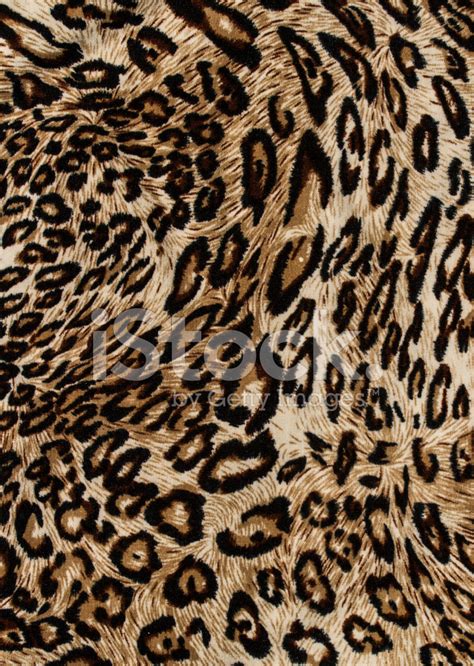 Tiger Print Fabric stock photos - FreeImages.com