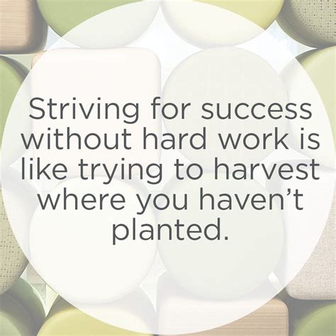 Striving For Success Without Hard Work Is Like Trying To Harvest Where