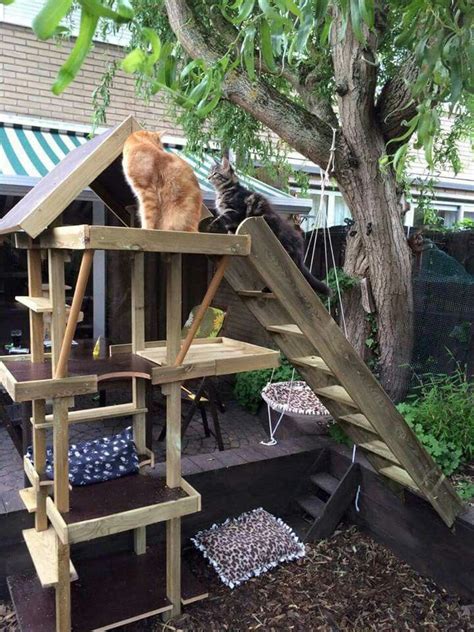 30 Diy Catio Ideas That Are Totally Pawsome Artofit