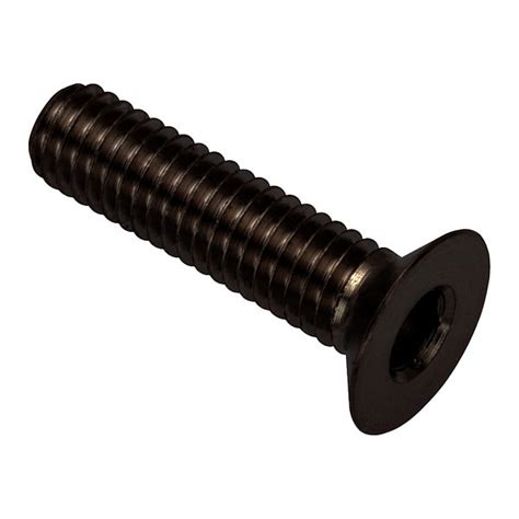 Zoro Select M X Socket Head Cap Screw Black Oxide Stainless Steel