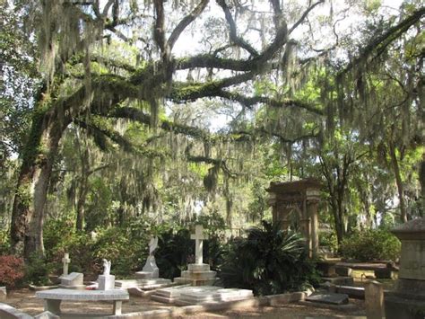 Bonaventure Cemetery Tours, Savannah | 6th Sense World