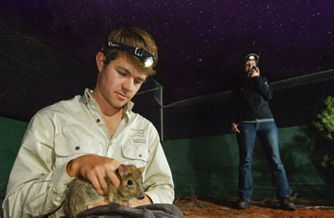 Burrowing Bettong Habitat and Population Conservation | AWC