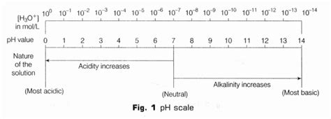 Cbse Class 10 Science Lab Manual Ph Of Samples A Plus Topper