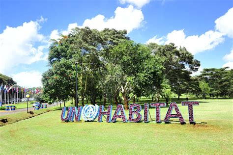 Brasileira Anacláudia Rossbach é nomeada diretora do ONU Habitat