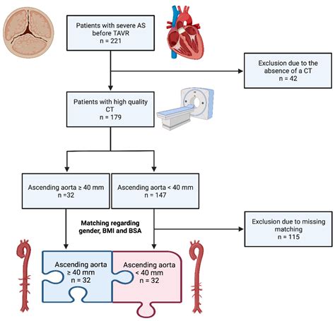 Diagnostics Free Full Text The Presence Of Ascending Aortic Dilatation In Patients