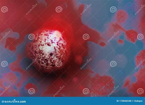 Menschliches Coronaviridae Virus Grippe Ansicht Eines Virus Unter