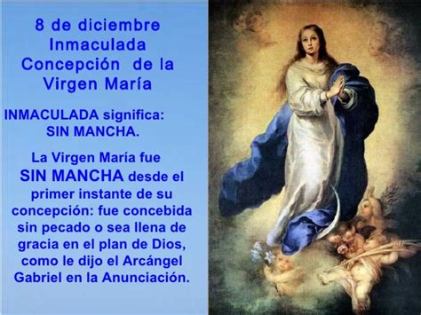 Día De La Inmaculada Concepción Inmaculada Concepción De La Virgen