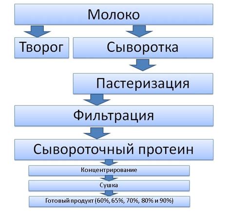 Протеин: польза, вред, эффективность