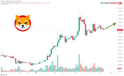 Shiba Inu Coin Shib Là Gì Có Nên Đầu Tư Shib Không Diễn Đàn Bitcoin