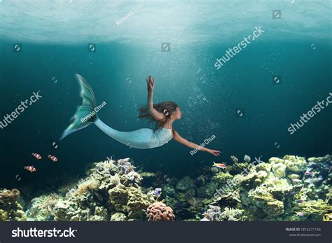 8,477 Mermaid swimming Stock Photos, Images & Photography | Shutterstock
