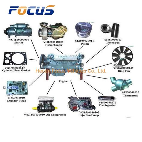 Cnhtc Sinotruk Original Engine Hp Hp Hp Hp Assembly And