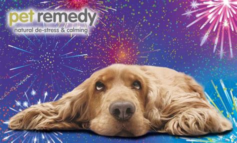 Protecting Your Dog This Firework Season Pet Remedy Pet Calming